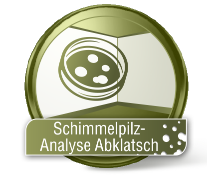 Schimmelpilz-Analyse Abklatsch Schimmelpilz-Analyse Abklatsch
